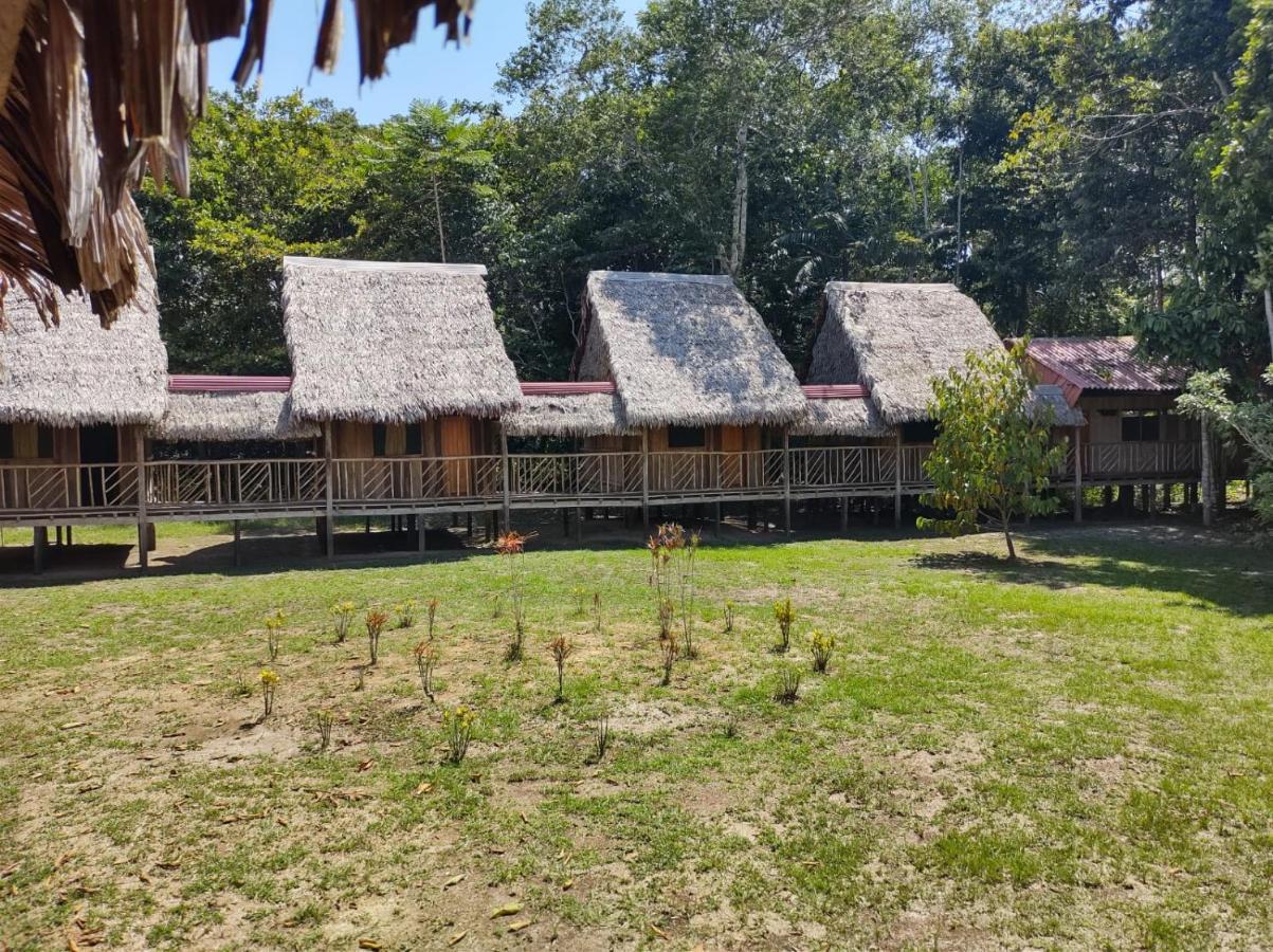 Intillama Jungle Lodge Eirl Paucarpata  Exterior foto