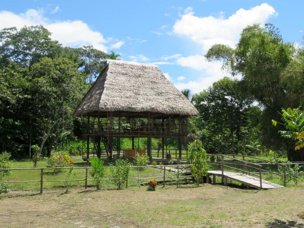 Intillama Jungle Lodge Eirl Paucarpata  Exterior foto